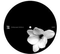 Lucy - Churches Schools and Guns Rmxs [Import]