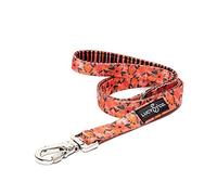 Lucy & Co. Laisse pour Chien de 1,5 m.