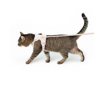 LucyBalu® Explorer Harnais Anti-Fugue avec Compartiment AirTag | Harnais de sécurité avec Laisse pour Chats | Rose M/L