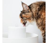 LucyBalu® Trevi Fontaine à Eau pour Chat en céramique I Blanc