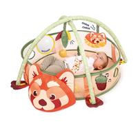 LUDI - Aire d'Éveil et Piscine à Balles Panda - Évolutive - Tapis d'Éveil - Aire de Jeu - Arches Amovibles - Activités sensorielles - 30 Balles - Facile à Monter - Dès 6 Mois