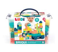 Ludi Briqui
