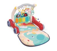 LUDI - Tapis d’Éveil & Chariot de Marche 3-en-1 - Table d’Activités avec Piano Musical et Hochets Sonores - Évolutif de la Naissance à la Marche - Dès 0 Mois - 72 x 46 cm