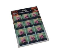 Ludicreations So You've Been Eaten Dyspepto-Beastmol