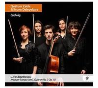 Bruno Delepelaire - Ludwig