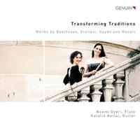 Ludwig van Beet Transforming Traditions: Works By Beethoven, Giuliani, Hay (CD)