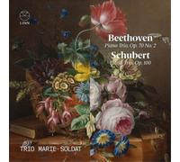 Beethoven & Schubert – Trio avec piano Op. 70 N° 2 / Op. 100 – NAXOS