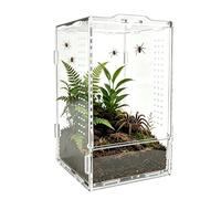 Lufaze Terrarium d'araignée sauteuse - Habitat d'araignée d'oiseau en acrylique - Cage à cornes - Pour les éleveurs, les amoureux des animaux, les éducateurs, les projets scolaires, les études, les