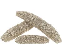 Luffa grand blanc lavé 20 pcs - éponge naturelle, déco, fleur séchée, exotique