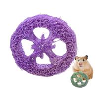 Luffa Jouets à mâcher pour lapins | Accessoire de jeu pour chinchilla | Jouet pour petits animaux - Pour propriétaires d'animaux amoureux des animaux, magasins, salon, chambre, étude, cage