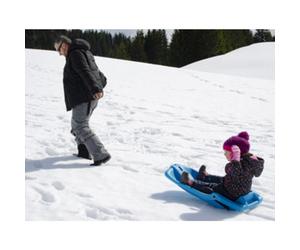 Luge, plastique, 1 personne, bleu