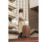 LUGGAGE ALUMINIUM - Valise Rigide En Aluminium Avec Serrure TSA Et Roues Multidirectionnelles Check-in M (45x25.7x66.5cm)