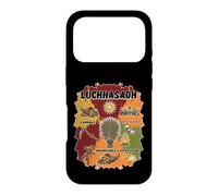 Lughnasadh Lammas Première récolte Abondance Gratitude bénie Coque pour iPhone 17 Pro