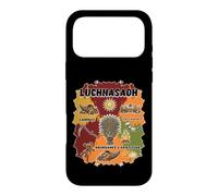 Lughnasadh Lammas Première récolte Abondance Gratitude bénie Coque pour iPhone 17 Pro Max