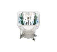 LUhvSW Accessoires pour projecteur de remplacement for projecteurs NEC NP07LP NP14LP NP15LP NP16LP NP17LP NSHA230W