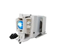 LUhvSW Accessoires pour projecteur SP.8VH01GC01 BL-FP190E MC.JH111.001 de projecteur HD141X DH1009 EH200St GT1080 HD26 S316 X316 W316 DX346 BR323 BR32 for A-ER H5380BD P1283 P1383W(SP.8VH01GC01-CBH)