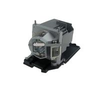 LUhvSW Boîtier d'éclairage de projecteur NP24LP for PE401H, NP510C, NP-PE401H, NP-PE401HJD, NP-PE401HJD-N2, PE-401H 100013352