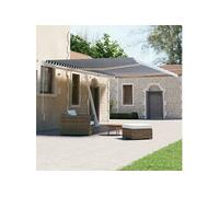Vidaxl Auvent Automatique Sur Pied 600x300 Cm Bleu/Blanc Blanc