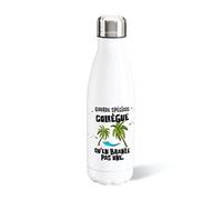 Luigi Collection Bouteille d’Eau 500ml Aluminium Collègue Gourde Réutilisable Ecologique. Idée Cadeau Original Humour Homme Femme Retraite Mutation Pot Départ Sport Voyage Bureau Anniversaire Noël