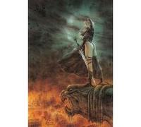 Luis ROYO - 61x91 cm - AFFICHE / POSTER G