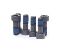 LuK Visserie pour volant moteur 411 0132 10