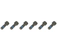 LuK 411 0132 10 Visserie, volant moteur