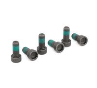 LuK 411 0133 10 Visserie, volant moteur