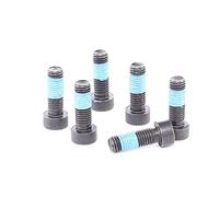 LuK 411 0169 10 Visserie, volant moteur