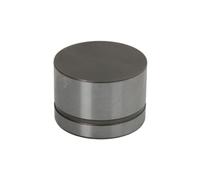 LUK 420004210 Poussoir de soupape