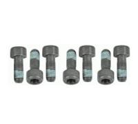 LUK - Boulon de volant moteur 411 0226 10 - Réf. LUK411022610