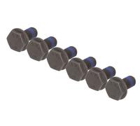 Visserie, volant moteur LUK 411 0007 10