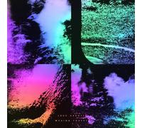 Luke Abbott - Wysing Forest (180 Gr)