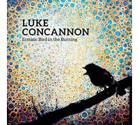Luke Concannon - Ecstatic Bird in The Burning