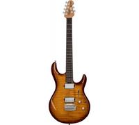 Luke Flame Maple Hazel Burst - Stock B