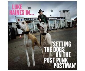 Luke Haines In…setting the Dogs on the Post Punk Postman