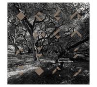 LUKE HOWARD - OPEN HEART STORY CD NEUF HOWARD,LUKE