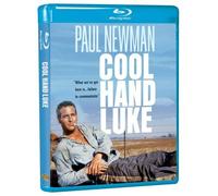 Luke la main froide ( Cool Hand Luke )