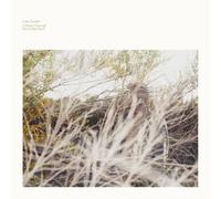 Luke Temple - A Hand Through The Cellar Door [Vinyl]