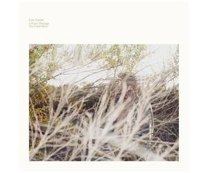 Luke Temple - A Hand Through The Cellar Door [Vinyl]