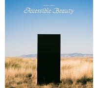 Lukens, Walker - Accessible Beauty [Vinyl LP]