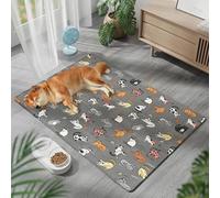 Lukery Tapis Rafraichissant pour Chien et Chat, Couverture Rafraichissante Confortable Animaux Tapis Fraicheur Été pour Chiens de Petite et Moyenne Taille ou Chats, Vert Bleu (Gris2,65x90cm)
