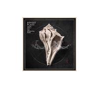 Lullaby and the ceaseless roar CD