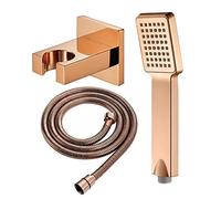 LULUMAIC Douches Forme Rose, Haute Pression, Ensemble à Main ABS Universel avec Tuyau de Douche Acier Inoxydable et HOL en Laiton