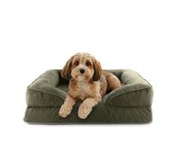 Lumaland Lit orthopédique en Velours côtelé - Canapé Ergonomique pour Chien - 70 x 60 cm - pour Petits Chiens - Fond antidérapant - Rembourrage et Housse lavables - Panier pour Chien avec Mousse à