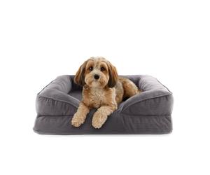 Lumaland Lit orthopédique en Velours côtelé - Canapé Ergonomique pour Chien - 70 x 60 cm - pour Petits Chiens - Fond antidérapant - Rembourrage et Housse lavables - Panier pour Chien avec Mousse à