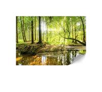 LUMASOUL Papier Peint Intissé 250x175 cm - Éclectique Panoramique Tapisserie Murale Facile à Monter - Papiers Peints Modernes Pour le Salon & Chambre à Coucher - Forêt