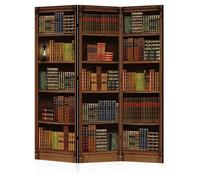 LUMASOUL Paravent Intérieur 3 Panneaux Recto-Verso Pliable - Retro Style Bibliothèque - Separateur de Pieces y Cloison de Separation - 135x172cm