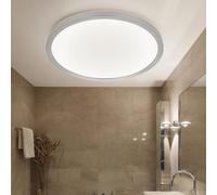 Lumière de Salle de Bain Plafonnier Suspension Blanc LED Fonction Rond D 42 CM
