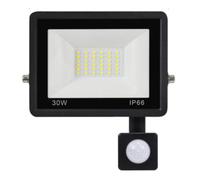 Lumière extérieure de détecteur de mouvement 30W imperméable à l'eau, lumière d'inondation sécurité pour le jardin d'escalier