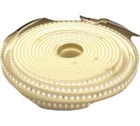Lumière LED en bande, haute luminosité, design flexible, blanc naturel, 20M